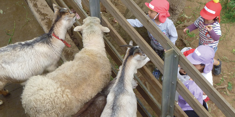 自然・動物とのふれあい